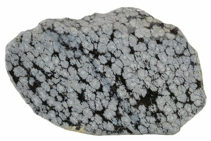 Polished Snowflake Obsidian Section - Utah #117761